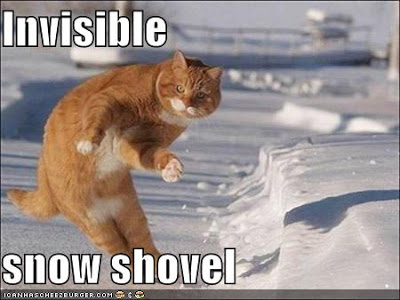 Corporate Snow Emergency Policy funny pictures cat with invisible snow shovel HR and Business: How Do You Handle Snow and Work